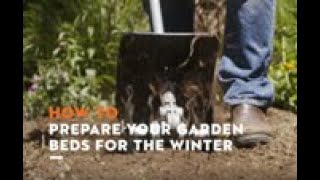 How to prepare your garden for the winter