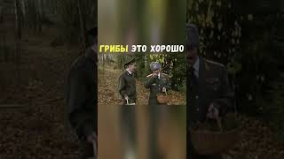 Грибы это Хорошо | Приколы Охота Рыбалка Туризм | Тик Ток #Shorts