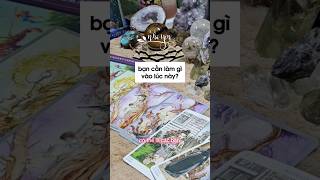 Bạn cần làm gì vào lúc này #nhãyêntarot #tarot #tarotreader #tarotvietnam