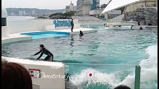 Komagawa sea world vlog 1 කොමගවා මුහුදු ලෝකය 1