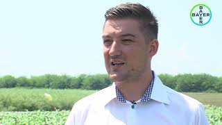 Bayer - Testimonial OVIDIU DEFTA - Asigurarea culturilor agricole