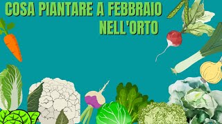 Cosa piantare a FEBBRAIO nell'ORTO