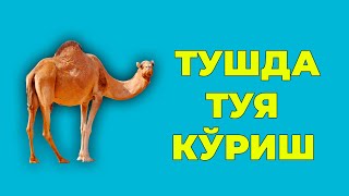 Туш табири - Тушда Туя куриш