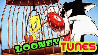 LOONEY TUNES | TWEETY VS SYLVESTER CAT | GRANNY @cartoonflix15