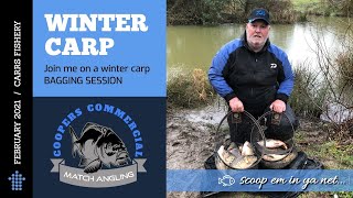 Winter Carp - Bumper Day Dobbing