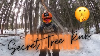 Breckenridge Ski Resort | Secret Tree Run | GNARNIA