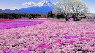 S gurmánem na cestách: Hokkaido, Japonsko