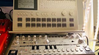 Electro Groove (Behringer RD-8 MS-101 PRO-1 CRAVE TD-3 Roland TR-505 TR-8 TX81Z Elektron Octatrack)