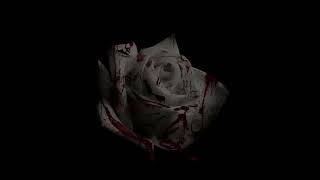 D4vd - Romantic Homicide  1 hour