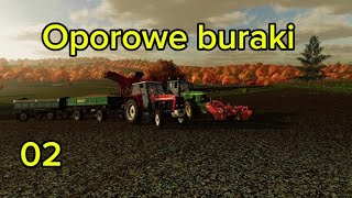 Oporowe buraki (Chłopak z osady 02)