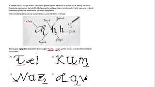 LGS 2020 SÖZEL MANTIK KALİGRAFİ