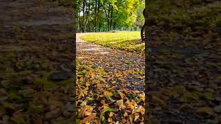 bash through leaves with Traxxas Sledge#shorts #subscribe #like #viral #rc