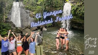 Visiting El Yunque Rainforest in Puerto Rico (P.2)