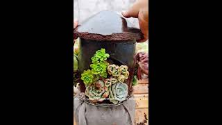 #22  ideas for Succulents arrangement - 6 ý tưởng trang trí sen đá