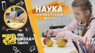 Наука / ООЦ "Школа"