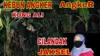 🔴LIVE MISTERI KEBUN ANGKER CILANDAK JAKSEL