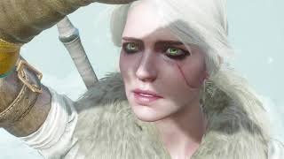 The Witcher 3: Wild Hunt-Ciri Stops the White Frost