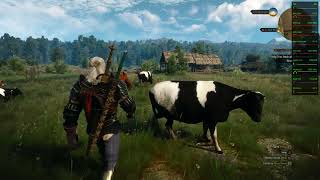 The Witcher 3 Wild Hunt / Next-gen update DirectX 12 test on RX6800XT