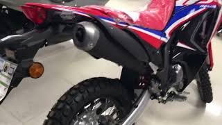 Honda CRF 300 Rally 2024 walk around.