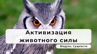 «Нагва́ль» — активизация животного силы