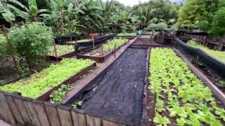 #Maldives Baa atoll | Soneva Fushi Maldives | Organic Garden | guided tour.