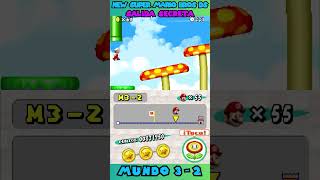 4New Super Mario Bros DS 3-2 Salida Secreta