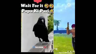 new vidio short😜😜😜😜papa ki pari in gareena free fire🤣🤣🤣😎😎❤️😂😅😅😅