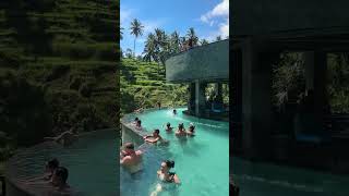 Популярное место для отдыха на Убуде, Бали🇮🇩 CRETYA UBUD 🔥