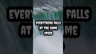 Everything falls at the same speed #shorts #viral #facts #physics