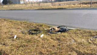 Canadian goose nesting