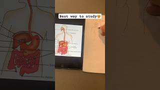 Stuyding made easy #study #school #diy #miniprinter #viral