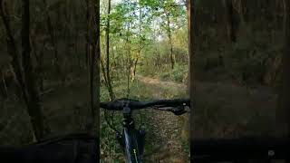 veloce nel bosco #mtb #shorts