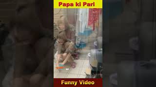 Papa Ki pari shorts 15 Funny Pakistani girl   funny beautiful girl shorts youtube shorts video