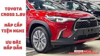 Toyota Cross V 2023 Màu Đỏ | Giá Bán Xe Cross Tại Toyota Daklak