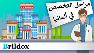 مراحل التخصص في ألمانيا (من البداية إلى النهاية!)