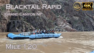 Blacktail Rapid - Mile 120 - Grand Canyon NP - Colorado River - V360