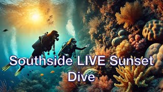 Southside LIVE Sunset Dive (TT Relay 11/3/24)