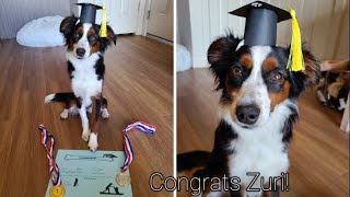 Our Puppy Graduated!