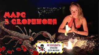 ЯДОВИТЫЙ МАРС В СКОРПИОНЕ 🦂♏ Буря эмоций , преданность , трансформации и самоистязание