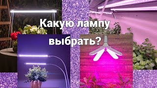 Какие лампы лучше выбрать? фитолампы для рассады, для огорода на окне, для микрозелени, для цветов