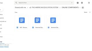 Aynchronous Training: American Education System Instructional Guide Google Docs