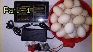 বেটাৰী ইনকৱেতৰ || How to make a homemade AC/DC Incubator at home || SG Rangpur