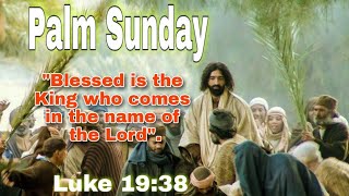 Palm Sunday | A Reading in the Bible: The Lord's Passion