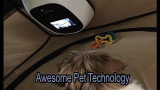 PetChatz HD Pet Camera Review 2019 | Digital Pet Daycare