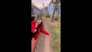 #shorts #youtube The #Kalka #Shimla Toy Train