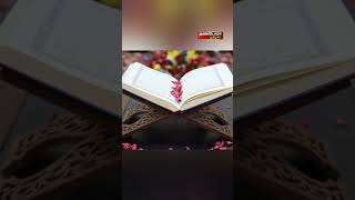 #தினம் ஒரு திருக்குர்ஆன் வசனம் #திருக்குர்ஆன் #quran