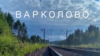 Варколово 16 апреля 2020