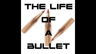 The Untold Story of a Bullet's Journey