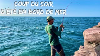 Un poisson au premier lancer lors de ce coup du soir d’été en bord de mer ??