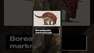 Borealopelta markmitchelli - удивительно хорошо сохранившийся экземпляр нодозавра #dinosaurworld